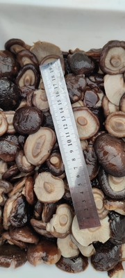 Convenient Frozen Mushrooms in Brine with Long Shelf Life and Delicious Taste for Multiple Uses