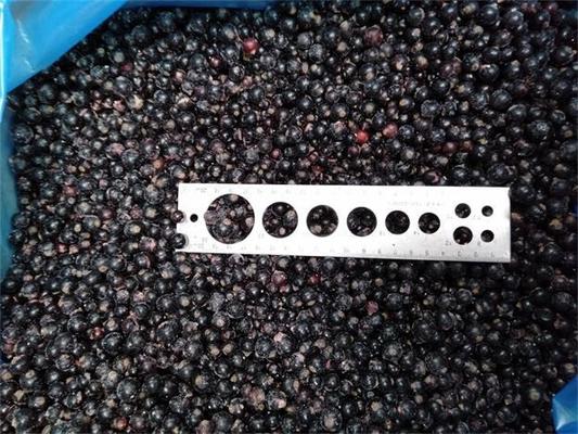New Corp Top Quality Good Price IQF Frozen Black Currant Frozen Fruits