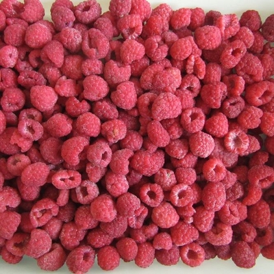 High Standard IQF Frozen Whole Raspberry