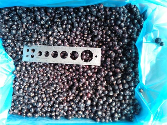 2025 New Corp Top Quality Good Price IQF Frozen Black Currant Frozen Fruits