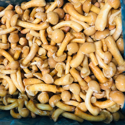 Fruits Frozen Mushroom IQF Frozen Nameko