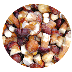 Frozen Mushrooms IQF BOLETUS EDULIS Grade A  24 Months Shelf Life ISO HACCP BRC KOSHER HALAL Certified 10 tons MOQ