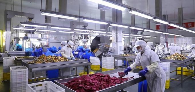 &Upsilon;&psi;&eta;&lambda;ή&sigmaf; &pi;&omicron;&iota;ό&tau;&eta;&tau;&alpha;&sigmaf; &pi;&alpha;&gamma;&omega;&mu;έ&nu;&alpha; &beta;&alpha;&tau;ό&mu;&omicron;&upsilon;&rho;&alpha; &pi;&alpha;&gamma;&omega;&mu;έ&nu;&alpha; &beta;&alpha;&tau;ό&mu;&omicron;&upsilon;&rho;&alpha; 9