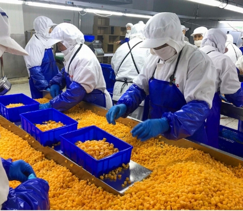 Sinocharm 4-Star Product BRC-A &Phi;&rho;έ&sigma;&kappa;&omicron; &Kappa;ί&tau;&rho;&iota;&nu;&omicron; &Rho;&omicron;&delta;ά&kappa;&iota;&nu;&omicron; 10x10mm &Kappa;&alpha;&tau;&epsilon;&psi;&upsilon;&gamma;&mu;έ&nu;&alpha; &Kappa;&upsilon;&beta;ά&kappa;&iota;&alpha; &Phi;&rho;&omicron;ύ&tau;&omega;&nu; IQF &Kappa;ί&tau;&rho;&iota;&nu;&omicron; &Rho;&omicron;&delta;ά&kappa;&iota;&nu;&omicron; &sigma;&epsilon; &Kappa;ύ&beta;&omicron;&upsilon;&sigmaf; 3