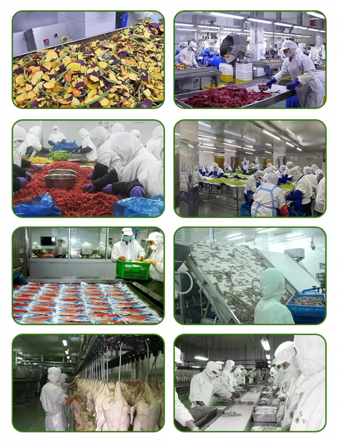 &Chi;&omicron;&nu;&delta;&rho;&iota;&kappa;ή&sigmaf; &Sigma;&upsilon;&sigma;&kappa;&epsilon;&upsilon;&alpha;&sigma;&mu;έ&nu;&omicron; &sigma;&epsilon; &Sigma;&upsilon;&sigma;&kappa;&epsilon;&upsilon;&alpha;&sigma;ί&epsilon;&sigmaf; &Kappa;&alpha;&tau;&epsilon;&psi;&upsilon;&gamma;&mu;έ&nu;&omicron; &Kappa;&omicron;&lambda;&omicron;&kappa;ύ&theta;&iota; &sigma;&epsilon; &Kappa;ύ&beta;&omicron;&upsilon;&sigmaf; Iqf &Kappa;&omicron;&mu;&mu;ά&tau;&iota;&alpha; &Kappa;&omicron;&lambda;&omicron;&kappa;ύ&theta;&alpha;&sigmaf; &Kappa;&alpha;&tau;&epsilon;&psi;&upsilon;&gamma;&mu;έ&nu;&alpha; &Lambda;&alpha;&chi;&alpha;&nu;&iota;&kappa;ά 5