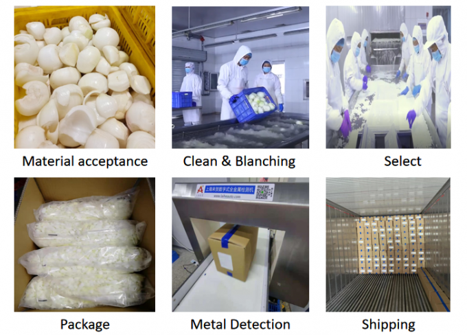 &Zeta;&epsilon;&sigma;&tau;έ&sigmaf; &pi;&omega;&lambda;ή&sigma;&epsilon;&iota;&sigmaf; &kappa;&alpha;&tau;&epsilon;&psi;&upsilon;&gamma;&mu;έ&nu;&omega;&nu; &sigma;&phi;&alpha;&iota;&rho;ώ&nu; &kappa;&rho;&epsilon;&mu;&mu;&upsilon;&delta;&iota;&omicron;ύ &gamma;&iota;&alpha; &chi;&omicron;&nu;&delta;&rho;&iota;&kappa;ό &epsilon;&mu;&pi;ό&rho;&iota;&omicron; 1