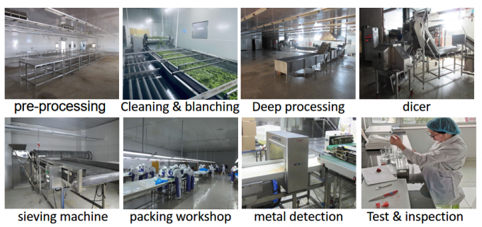 &Kappa;&iota;&nu;έ&zeta;&iota;&kappa;&eta; &Pi;&rho;&omicron;&mu;ή&theta;&epsilon;&iota;&alpha; &Kappa;&alpha;&lambda;ύ&tau;&epsilon;&rho;&eta;&sigmaf; &Pi;&omicron;&iota;ό&tau;&eta;&tau;&alpha;&sigmaf; &Kappa;&alpha;&lambda;ή &Tau;&iota;&mu;ή IQF &Kappa;&alpha;&tau;&epsilon;&psi;&upsilon;&gamma;&mu;έ&nu;&alpha; &Lambda;&alpha;&chi;&alpha;&nu;&iota;&kappa;ά &Omicron;&lambda;ό&kappa;&lambda;&eta;&rho;&omicron; &Mu;&pi;ά&mu;&iota;&alpha; &Gamma;&kappa;&omicron;ύ&mu;&pi;&omicron; 8