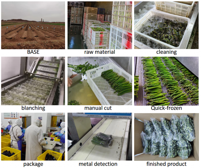 &Sigma;&pi;&alpha;&rho;ά&gamma;&gamma;&iota;&alpha; &Sigma;&pi;&alpha;&rho;ά&gamma;&gamma;&iota;&alpha; &Sigma;&pi;&alpha;&rho;ά&gamma;&gamma;&iota;&alpha; &Kappa;&alpha;&tau;&epsilon;&psi;&upsilon;&gamma;&mu;έ&nu;&alpha; &Lambda;&alpha;&chi;&alpha;&nu;&iota;&kappa;ά IQF &Kappa;&alpha;&tau;&epsilon;&psi;&upsilon;&gamma;&mu;έ&nu;&alpha; &Pi;&rho;ά&sigma;&iota;&nu;&alpha; &Sigma;&pi;&alpha;&rho;ά&gamma;&gamma;&iota;&alpha; &Sigma;&pi;ό&rho;&omicron;&iota; &Alpha;' &Beta;&alpha;&theta;&mu;&omicron;ύ &Mu;&alpha;&zeta;&iota;&kappa;ή &Sigma;&upsilon;&sigma;&kappa;&epsilon;&upsilon;&alpha;&sigma;ί&alpha; &Tau;&iota;&mu;ή &Sigma;&pi;&alpha;&rho;&alpha;&gamma;&gamma;&iota;ώ&nu; 4