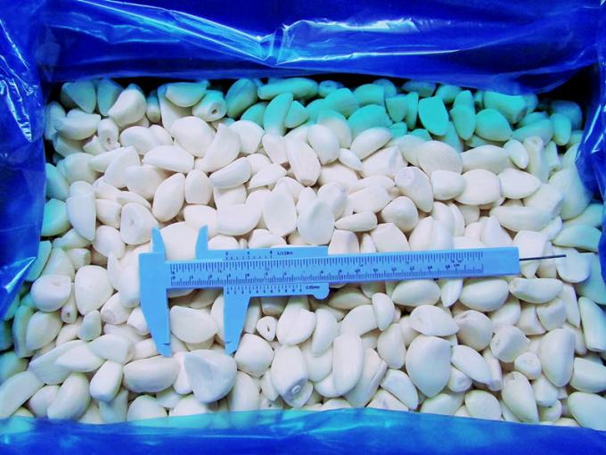 &Chi;&omicron;&nu;&delta;&rho;&iota;&kappa;ό &sigma;&kappa;ό&rho;&delta;&omicron; &mu;&epsilon; &phi;&rho;έ&sigma;&kappa;&iota;&alpha; &gamma;&epsilon;ύ&sigma;&eta; &kappa;&alpha;&iota; &mu;&alpha;&kappa;&rho;ά &delta;&iota;ά&rho;&kappa;&epsilon;&iota;&alpha; &zeta;&omega;ή&sigmaf; &Kappa;&alpha;&tau;&epsilon;&psi;&upsilon;&gamma;&mu;έ&nu;&omicron; &sigma;&kappa;ό&rho;&delta;&omicron; 0