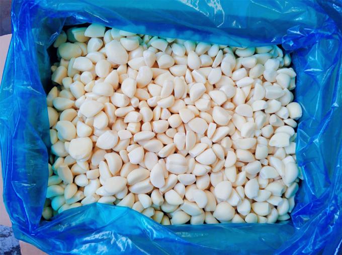 &Chi;&omicron;&nu;&delta;&rho;&iota;&kappa;ό &sigma;&kappa;ό&rho;&delta;&omicron; &mu;&epsilon; &phi;&rho;έ&sigma;&kappa;&iota;&alpha; &gamma;&epsilon;ύ&sigma;&eta; &kappa;&alpha;&iota; &mu;&alpha;&kappa;&rho;ά &delta;&iota;ά&rho;&kappa;&epsilon;&iota;&alpha; &zeta;&omega;ή&sigmaf; &Kappa;&alpha;&tau;&epsilon;&psi;&upsilon;&gamma;&mu;έ&nu;&omicron; &sigma;&kappa;ό&rho;&delta;&omicron; 1