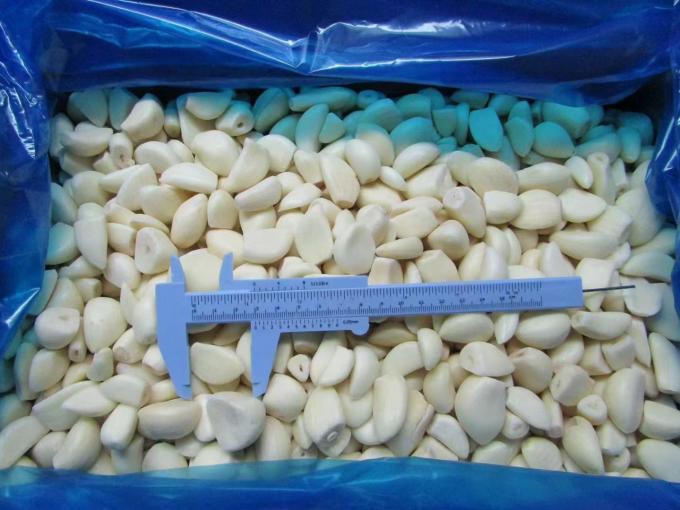 &Chi;&omicron;&nu;&delta;&rho;&iota;&kappa;ό &sigma;&kappa;ό&rho;&delta;&omicron; &mu;&epsilon; &phi;&rho;έ&sigma;&kappa;&iota;&alpha; &gamma;&epsilon;ύ&sigma;&eta; &kappa;&alpha;&iota; &mu;&alpha;&kappa;&rho;ά &delta;&iota;ά&rho;&kappa;&epsilon;&iota;&alpha; &zeta;&omega;ή&sigmaf; &Kappa;&alpha;&tau;&epsilon;&psi;&upsilon;&gamma;&mu;έ&nu;&omicron; &sigma;&kappa;ό&rho;&delta;&omicron; 2