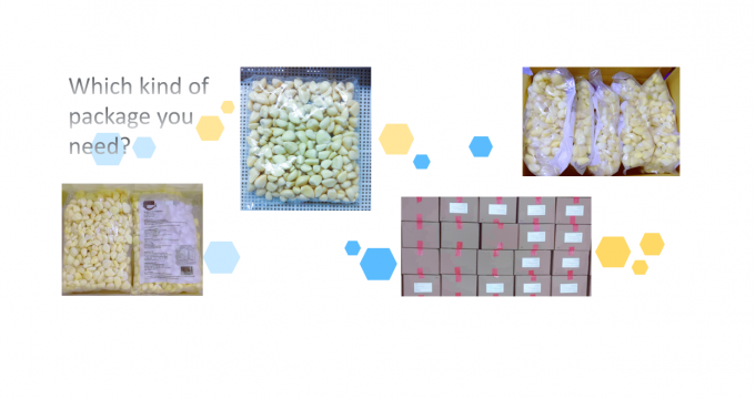 &Chi;&omicron;&nu;&delta;&rho;&iota;&kappa;ό &sigma;&kappa;ό&rho;&delta;&omicron; &mu;&epsilon; &phi;&rho;έ&sigma;&kappa;&iota;&alpha; &gamma;&epsilon;ύ&sigma;&eta; &kappa;&alpha;&iota; &mu;&alpha;&kappa;&rho;ά &delta;&iota;ά&rho;&kappa;&epsilon;&iota;&alpha; &zeta;&omega;ή&sigmaf; &Kappa;&alpha;&tau;&epsilon;&psi;&upsilon;&gamma;&mu;έ&nu;&omicron; &sigma;&kappa;ό&rho;&delta;&omicron; 4