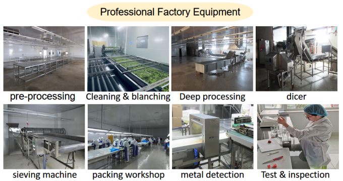 &Tau;&iota;&mu;ή &epsilon;&rho;&gamma;&omicron;&sigma;&tau;&alpha;&sigma;ί&omicron;&upsilon; &kappa;&alpha;&tau;&alpha;&sigma;&kappa;&epsilon;&upsilon;&alpha;&sigma;&tau;ή IQF &Upsilon;&psi;&eta;&lambda;ή&sigmaf; &pi;&omicron;&iota;ό&tau;&eta;&tau;&alpha;&sigmaf; &Phi;&rho;έ&sigma;&kappa;&alpha; &tau;&rho;ό&phi;&iota;&mu;&alpha; &Kappa;&alpha;&tau;&epsilon;&psi;&upsilon;&gamma;&mu;έ&nu;&alpha; &beta;&alpha;&tau;ό&mu;&omicron;&upsilon;&rho;&alpha; &Sigma;&epsilon;&rho;&beta;ί&alpha;&sigmaf; &gamma;&iota;&alpha; &epsilon;&xi;&alpha;&gamma;&omega;&gamma;ή 6