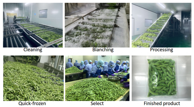 &Kappa;ί&nu;&alpha; &Pi;&rho;&omicron;&mu;&eta;&theta;&epsilon;&upsilon;&tau;ή&sigmaf; &Sigma;ό&gamma;&iota;&alpha; &Phi;&alpha;&sigma;ό&lambda;&iota;&alpha; IQF &Kappa;&alpha;&tau;&epsilon;&psi;&upsilon;&gamma;&mu;έ&nu;&eta; &Epsilon;&delta;&alpha;&mu;ά&mu;&eta; &sigma;&epsilon; &kappa;έ&lambda;&upsilon;&phi;&omicron;&sigmaf; 4