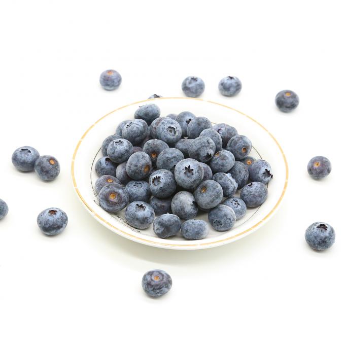 &Zeta;&epsilon;&sigma;&tau;ή &pi;ώ&lambda;&eta;&sigma;&eta; &Kappa;&alpha;&tau;&epsilon;&psi;&upsilon;&gamma;&mu;έ&nu;&alpha; &phi;&rho;&omicron;ύ&tau;&alpha; IQF Blueberry 10kg &Kappa;&alpha;&tau;&epsilon;&psi;&upsilon;&gamma;&mu;έ&nu;&alpha; Blueberry &chi;&omicron;&nu;&delta;&rho;&iota;&kappa;ά 0