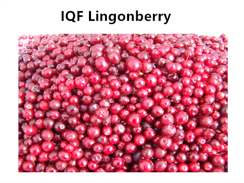 BRC, KOSHER, HALAL, IFS, BSCI &Kappa;&alpha;&tau;&epsilon;&psi;&upsilon;&gamma;&mu;έ&nu;&eta; &mu;&alpha;&rho;&mu;&epsilon;&lambda;ά&delta;&alpha; &phi;&rho;&omicron;ύ&tau;&omega;&nu; Lingonberry Cranberry 100% &phi;&upsilon;&sigma;&iota;&kappa;ή, &sigma;&upsilon;&sigma;&kappa;&epsilon;&upsilon;&alpha;&sigma;ί&alpha; &chi;ύ&mu;&alpha; &mu;&epsilon; &delta;&iota;ά&rho;&kappa;&epsilon;&iota;&alpha; &zeta;&omega;ή&sigmaf; 2 έ&tau;&eta; &sigma;&epsilon; &delta;&omicron;&chi;&epsilon;ί&omicron; 0