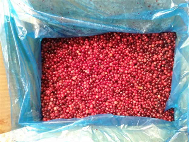 BRC, KOSHER, HALAL, IFS, BSCI &Kappa;&alpha;&tau;&epsilon;&psi;&upsilon;&gamma;&mu;έ&nu;&eta; &mu;&alpha;&rho;&mu;&epsilon;&lambda;ά&delta;&alpha; &phi;&rho;&omicron;ύ&tau;&omega;&nu; Lingonberry Cranberry 100% &phi;&upsilon;&sigma;&iota;&kappa;ή, &sigma;&upsilon;&sigma;&kappa;&epsilon;&upsilon;&alpha;&sigma;ί&alpha; &chi;ύ&mu;&alpha; &mu;&epsilon; &delta;&iota;ά&rho;&kappa;&epsilon;&iota;&alpha; &zeta;&omega;ή&sigmaf; 2 έ&tau;&eta; &sigma;&epsilon; &delta;&omicron;&chi;&epsilon;ί&omicron; 2