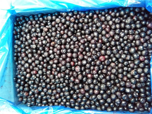 IQF &Kappa;&alpha;&tau;&epsilon;&psi;&upsilon;&gamma;&mu;έ&nu;&alpha; &Omicron;&lambda;ό&kappa;&lambda;&eta;&rho;&alpha; &Mu;ύ&rho;&tau;&iota;&lambda;&alpha; Premium &Gamma;&iota;&alpha; &Psi;ή&sigma;&iota;&mu;&omicron; &kappa;&alpha;&iota; Smoothies &Epsilon;&nu;&tau;&alpha;&tau;&iota;&kappa;ά 2