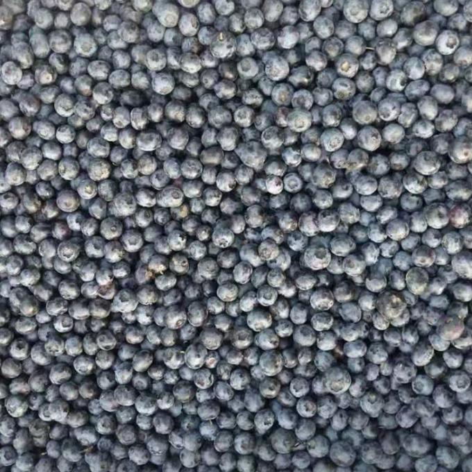 IQF &Kappa;&alpha;&tau;&epsilon;&psi;&upsilon;&gamma;&mu;έ&nu;&alpha; &Omicron;&lambda;ό&kappa;&lambda;&eta;&rho;&alpha; &Mu;ύ&rho;&tau;&iota;&lambda;&alpha; Premium &Gamma;&iota;&alpha; &Psi;ή&sigma;&iota;&mu;&omicron; &kappa;&alpha;&iota; Smoothies &Epsilon;&nu;&tau;&alpha;&tau;&iota;&kappa;ά 1