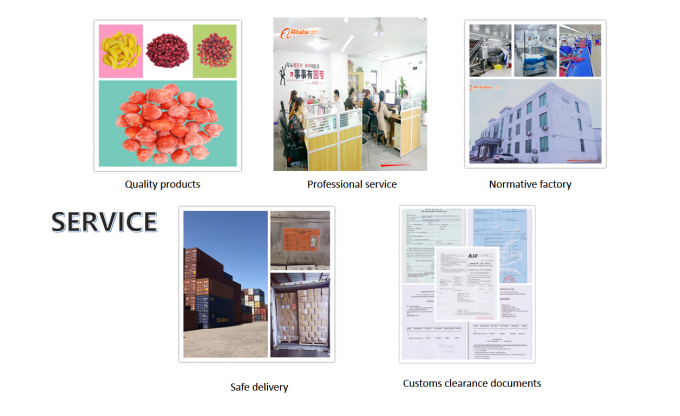 &Chi;&omicron;&nu;&delta;&rho;&iota;&kappa;ό&sigmaf; &pi;ώ&lambda;&eta;&sigma;&eta; &beta;&iota;&omicron;&lambda;&omicron;&gamma;&iota;&kappa;&omicron;ύ &theta;&alpha;&lambda;&alpha;&sigma;&sigma;&iota;&nu;&omicron;ύ &sigma;&kappa;&alpha;&nu;&tau;&zeta;ό&chi;&omicron;&iota;&rho;&omicron;&upsilon; &Pi;&alpha;&gamma;&omega;&mu;έ&nu;&alpha; &phi;&rho;&omicron;ύ&tau;&alpha; &theta;&alpha;&lambda;&alpha;&sigma;&sigma;&iota;&nu;&omicron;ύ &sigma;&kappa;&alpha;&nu;&tau;&zeta;ό&chi;&omicron;&iota;&rho;&omicron;&upsilon; 4