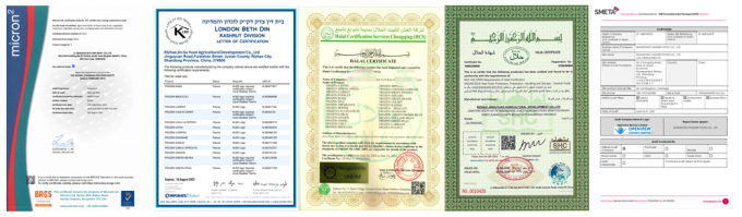 &Chi;&omicron;&nu;&delta;&rho;&iota;&kappa;ό&sigmaf; &pi;ώ&lambda;&eta;&sigma;&eta; &beta;&iota;&omicron;&lambda;&omicron;&gamma;&iota;&kappa;&omicron;ύ &theta;&alpha;&lambda;&alpha;&sigma;&sigma;&iota;&nu;&omicron;ύ &sigma;&kappa;&alpha;&nu;&tau;&zeta;ό&chi;&omicron;&iota;&rho;&omicron;&upsilon; &Pi;&alpha;&gamma;&omega;&mu;έ&nu;&alpha; &phi;&rho;&omicron;ύ&tau;&alpha; &theta;&alpha;&lambda;&alpha;&sigma;&sigma;&iota;&nu;&omicron;ύ &sigma;&kappa;&alpha;&nu;&tau;&zeta;ό&chi;&omicron;&iota;&rho;&omicron;&upsilon; 5