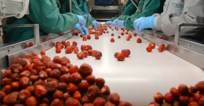 &Upsilon;&psi;&eta;&lambda;ή&sigmaf; &pi;&omicron;&iota;ό&tau;&eta;&tau;&alpha;&sigmaf; IQF &Kappa;&alpha;&tau;&epsilon;&psi;&upsilon;&gamma;&mu;έ&nu;&omicron; &Alpha;&beta;&rho;ί&kappa;&omicron;&kappa;&omicron;&kappa;&omicron; &Mu;&iota;&sigma;ά &Zeta;&epsilon;&sigma;&tau;ά &pi;&omega;&lambda;ή&sigma;&epsilon;&iota;&sigmaf; &gamma;&iota;&alpha; &chi;&omicron;&nu;&delta;&rho;&iota;&kappa;ό &kappa;&alpha;&iota; &lambda;&iota;&alpha;&nu;&iota;&kappa;ό &epsilon;&mu;&pi;ό&rho;&iota;&omicron; &Phi;&alpha;&rho;&mu;&alpha;&kappa;&epsilon;ί&omicron; &tau;&iota;&mu;ή &Delta;&iota;&alpha;&tau;ή&rho;&eta;&sigma;&eta; &nu;&epsilon;&rho;&omicron;ύ &chi;ύ&delta;&eta;&sigmaf; &sigma;&upsilon;&sigma;&kappa;&epsilon;&upsilon;&alpha;&sigma;ί&alpha; 3