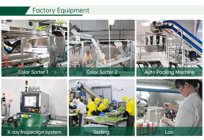 &Epsilon;&rho;&gamma;&omicron;&sigma;&tau;ά&sigma;&iota;&omicron; &kappa;&alpha;&tau;&epsilon;&psi;&upsilon;&gamma;&mu;έ&nu;&omega;&nu; &lambda;&alpha;&chi;&alpha;&nu;&iota;&kappa;ώ&nu; &mu;&epsilon; &pi;&iota;&sigma;&tau;&omicron;&pi;&omicron;ί&eta;&sigma;&eta; HALAL IQF &Kappa;ό&kappa;&kappa;&iota;&nu;&eta; &nu;&tau;&omicron;&mu;ά&tau;&alpha; &sigma;&epsilon; &kappa;ύ&beta;&omicron;&upsilon;&sigmaf; 10mm &Kappa;&alpha;&tau;&epsilon;&psi;&upsilon;&gamma;&mu;έ&nu;&epsilon;&sigmaf; &nu;&tau;&omicron;&mu;ά&tau;&epsilon;&sigmaf; &sigma;&epsilon; &kappa;ύ&beta;&omicron;&upsilon;&sigmaf; &sigma;&tau;&eta;&nu; &Kappa;ί&nu;&alpha; 2