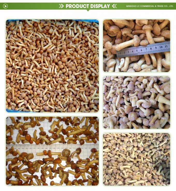 Ά&gamma;&rho;&iota;&alpha; &kappa;&alpha;&lambda;&lambda;&iota;&epsilon;&rho;&gamma;&eta;&mu;έ&nu;&alpha; &beta;&iota;&omicron;&lambda;&omicron;&gamma;&iota;&kappa;ά &mu;&alpha;&nu;&iota;&tau;ά&rho;&iota;&alpha; &upsilon;&gamma;&iota;ή &phi;&upsilon;&sigma;&iota;&kappa;ά &theta;&rho;&epsilon;&pi;&tau;&iota;&kappa;ά &phi;&rho;έ&sigma;&kappa;&alpha; &omicron;&lambda;ό&kappa;&lambda;&eta;&rho;&alpha; &kappa;&alpha;&tau;&epsilon;&psi;&upsilon;&gamma;&mu;έ&nu;&alpha; &mu;&alpha;&nu;&iota;&tau;ά&rho;&iota;&alpha; IQF &kappa;&alpha;&tau;&epsilon;&psi;&upsilon;&gamma;&mu;έ&nu;&alpha; Nameko 1