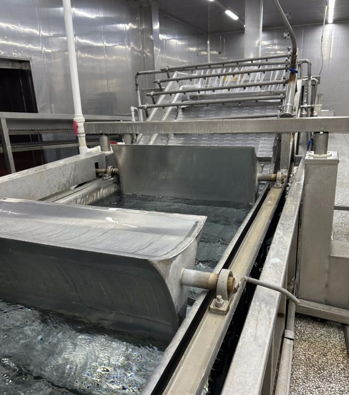 IQF &Tau;έ&sigma;&sigma;&epsilon;&rho;&alpha; &Kappa;&alpha;&tau;&epsilon;&psi;&upsilon;&gamma;&mu;έ&nu;&alpha; &Lambda;&alpha;&chi;&alpha;&nu;&iota;&kappa;ά &Mu;&pi;&iota;&zeta;έ&lambda;&iota; & &Gamma;&lambda;&upsilon;&kappa;ό &Kappa;&alpha;&lambda;&alpha;&mu;&pi;ό&kappa;&iota; & &Kappa;&alpha;&rho;ό&tau;&omicron; & &Pi;&rho;ά&sigma;&iota;&nu;&alpha; &Phi;&alpha;&sigma;ό&lambda;&iota;&alpha; 12