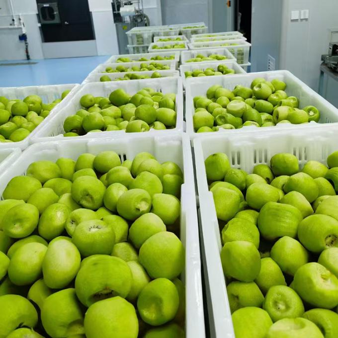 &Kappa;ί&beta;&iota; &Phi;&rho;&omicron;ύ&tau;&alpha; &Kappa;&alpha;&tau;&epsilon;&psi;&upsilon;&gamma;&mu;έ&nu;&alpha; &Phi;&rho;&omicron;ύ&tau;&alpha; &Kappa;&alpha;&tau;&epsilon;&psi;&upsilon;&gamma;&mu;έ&nu;&alpha; &Kappa;ί&beta;&iota; &Sigma;&phi;&alpha;ί&rho;&alpha; &Pi;&omicron;&iota;ό&tau;&eta;&tau;&alpha; &Phi;&upsilon;&sigma;&iota;&kappa;ή 3