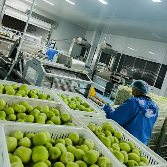 &Kappa;ί&beta;&iota; &Phi;&rho;&omicron;ύ&tau;&alpha; &Kappa;&alpha;&tau;&epsilon;&psi;&upsilon;&gamma;&mu;έ&nu;&alpha; &Phi;&rho;&omicron;ύ&tau;&alpha; &Kappa;&alpha;&tau;&epsilon;&psi;&upsilon;&gamma;&mu;έ&nu;&alpha; &Kappa;ί&beta;&iota; &Sigma;&phi;&alpha;ί&rho;&alpha; &Pi;&omicron;&iota;ό&tau;&eta;&tau;&alpha; &Phi;&upsilon;&sigma;&iota;&kappa;ή 4