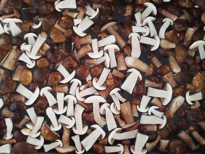 &Kappa;&alpha;&tau;&epsilon;&psi;&upsilon;&gamma;&mu;έ&nu;&alpha; &Mu;&alpha;&nu;&iota;&tau;ά&rho;&iota;&alpha; IQF BOLETUS EDULIS &Beta;&alpha;&theta;&mu;&omicron;ύ &Alpha;  &Delta;&iota;ά&rho;&kappa;&epsilon;&iota;&alpha; &Zeta;&omega;ή&sigmaf; 24 &Mu;ή&nu;&epsilon;&sigmaf; ISO HACCP BRC KOSHER HALAL &Pi;&iota;&sigma;&tau;&omicron;&pi;&omicron;&iota;&eta;&mu;έ&nu;&omicron; 10 &tau;ό&nu;&omicron;&upsilon;&sigmaf; MOQ 0