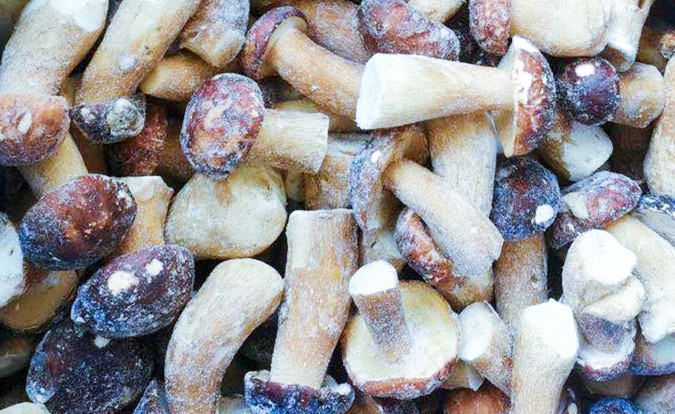 &Kappa;&alpha;&tau;&epsilon;&psi;&upsilon;&gamma;&mu;έ&nu;&alpha; &Mu;&alpha;&nu;&iota;&tau;ά&rho;&iota;&alpha; IQF BOLETUS EDULIS &Beta;&alpha;&theta;&mu;&omicron;ύ &Alpha;  &Delta;&iota;ά&rho;&kappa;&epsilon;&iota;&alpha; &Zeta;&omega;ή&sigmaf; 24 &Mu;ή&nu;&epsilon;&sigmaf; ISO HACCP BRC KOSHER HALAL &Pi;&iota;&sigma;&tau;&omicron;&pi;&omicron;&iota;&eta;&mu;έ&nu;&omicron; 10 &tau;ό&nu;&omicron;&upsilon;&sigmaf; MOQ 2