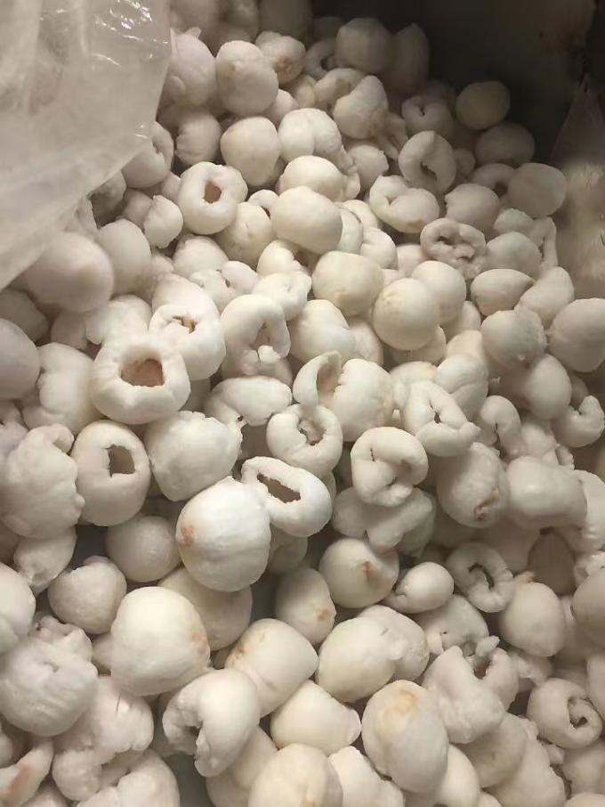 &Kappa;&alpha;&tau;&epsilon;&psi;&upsilon;&gamma;&mu;έ&nu;&omicron; &omicron;&lambda;ό&kappa;&lambda;&eta;&rho;&omicron; &alpha;&pi;&omicron;&phi;&lambda;&omicron;&iota;&omega;&mu;έ&nu;&omicron; &lambda;&iota;&chi;&omicron;&upsilon;ί &sigma;&epsilon; &chi;ύ&delta;&eta;&sigmaf; &sigma;&upsilon;&sigma;&kappa;&epsilon;&upsilon;&alpha;&sigma;ί&alpha; &kappa;&omicron;&upsilon;&tau;ί IQF &Gamma;&lambda;&upsilon;&kappa;ό &gamma;&epsilon;&upsilon;&sigma;&tau;&iota;&kappa;ό &phi;&rho;&omicron;ύ&tau;&alpha; &lambda;&iota;&chi;&omicron;&upsilon;ί &mu;&epsilon; &mu;ά&nu;&gamma;&kappa;&omicron; &Pi;&omicron;&iota;&kappa;&iota;&lambda;ί&alpha; &kappa;&omicron;&nu;&sigma;έ&rho;&beta;&omega;&nu; &phi;&rho;&omicron;ύ&tau;&omega;&nu; 3