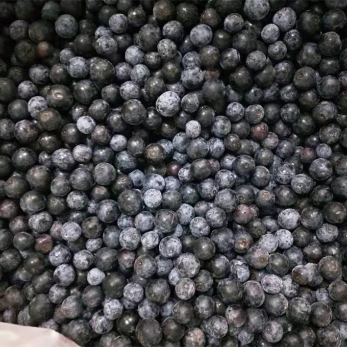 &Chi;&omicron;&nu;&delta;&rho;&iota;&kappa;ό &Kappa;&iota;&nu;έ&zeta;&iota;&kappa;&omicron; Iqf &Pi;&alpha;&gamma;&omega;&mu;έ&nu;&alpha; Berries IQF &Pi;&alpha;&gamma;&omega;&mu;έ&nu;&alpha; &beta;&alpha;&tau;ό&mu;&omicron;&upsilon;&rho;&alpha; &gamma;&iota;&alpha; &epsilon;&xi;&alpha;&gamma;&omega;&gamma;ή &mu;&epsilon; &kappa;&alpha;&lambda;ή &tau;&iota;&mu;ή Blue Berry 2