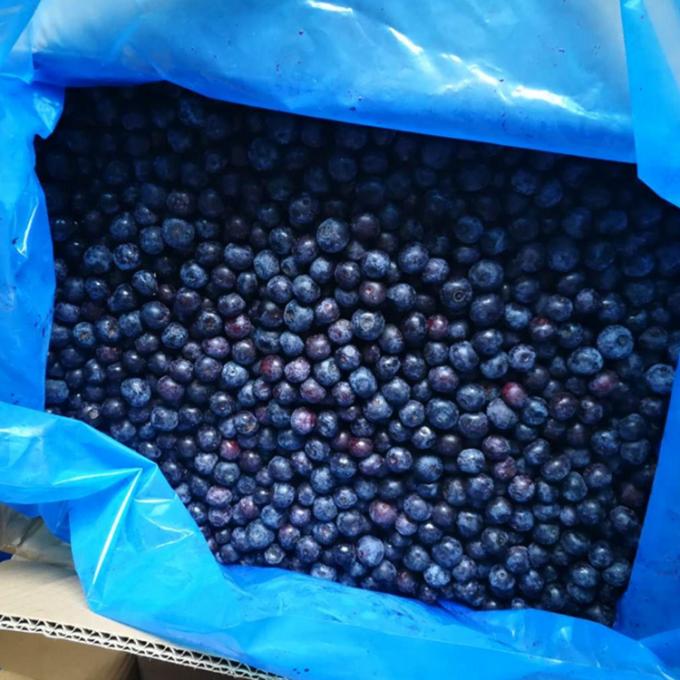 &Chi;&omicron;&nu;&delta;&rho;&iota;&kappa;ό &Kappa;&iota;&nu;έ&zeta;&iota;&kappa;&omicron; Iqf &Pi;&alpha;&gamma;&omega;&mu;έ&nu;&alpha; Berries IQF &Pi;&alpha;&gamma;&omega;&mu;έ&nu;&alpha; &beta;&alpha;&tau;ό&mu;&omicron;&upsilon;&rho;&alpha; &gamma;&iota;&alpha; &epsilon;&xi;&alpha;&gamma;&omega;&gamma;ή &mu;&epsilon; &kappa;&alpha;&lambda;ή &tau;&iota;&mu;ή Blue Berry 4