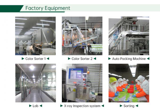 IQF &Pi;&alpha;&gamma;&omega;&mu;έ&nu;&alpha; &mu;&epsilon;ί&gamma;&mu;&alpha;&tau;&alpha; &lambda;&alpha;&chi;&alpha;&nu;&iota;&kappa;ώ&nu; &Phi;&rho;έ&sigma;&kappa;&alpha; &mu;&epsilon;ί&gamma;&mu;&alpha;&tau;&alpha; &lambda;&alpha;&chi;&alpha;&nu;&iota;&kappa;ώ&nu; 6